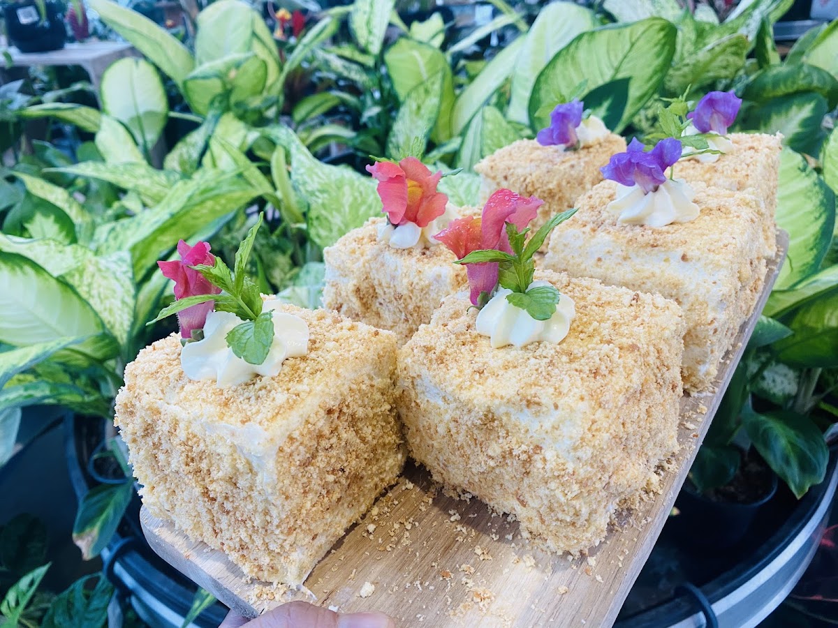 Cafe Botannix Albany Photos 2